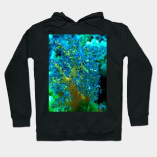 a soft coral in the sea Hoodie